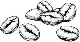 coffee Seeds