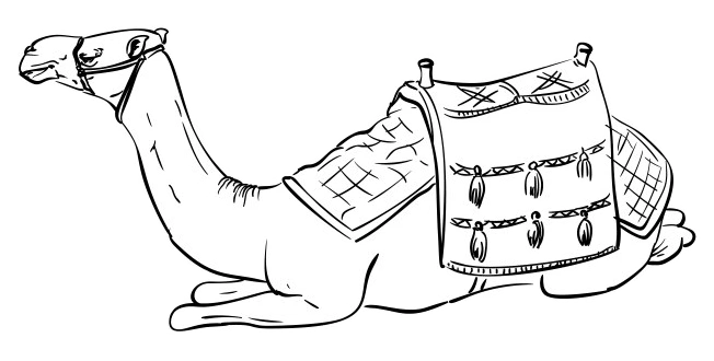 camel