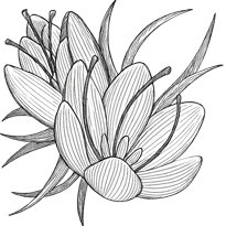 logo icon